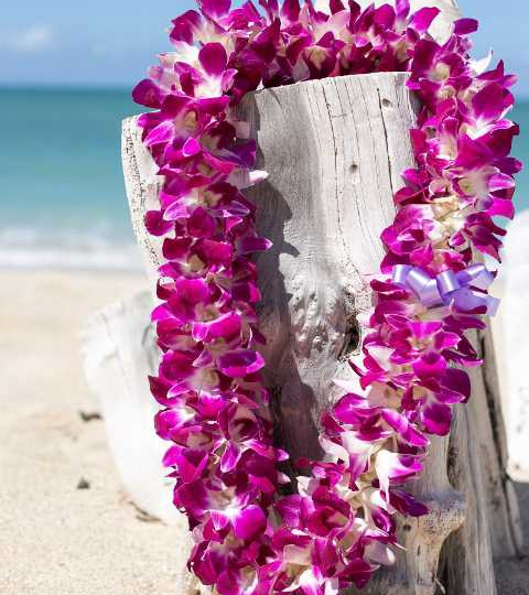 deluxe lei greeting