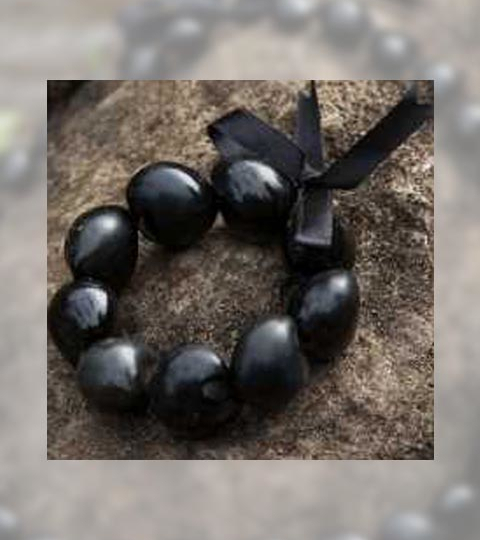 kukui nut bracelet