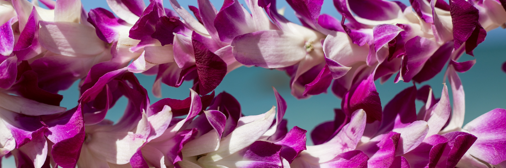 Oahu Flower Leis