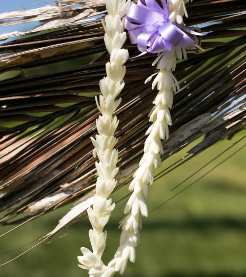 tuberose lei greeting